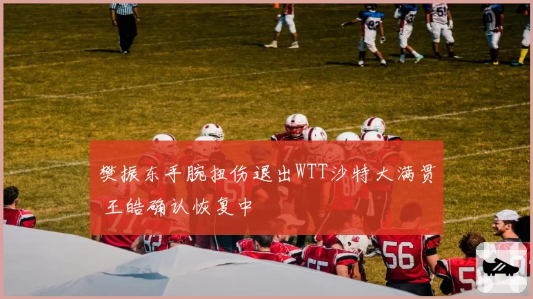 樊振东手腕扭伤退出WTT沙特大满贯 王皓确认恢复中