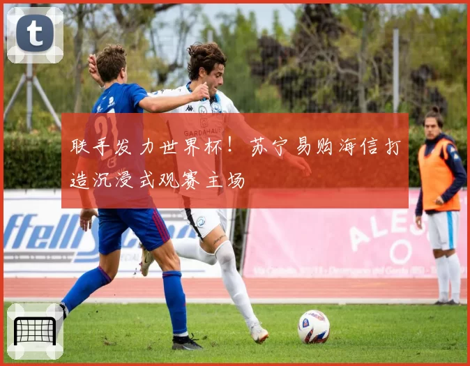 联手发力世界杯!苏宁易购海信打造沉浸式观赛主场