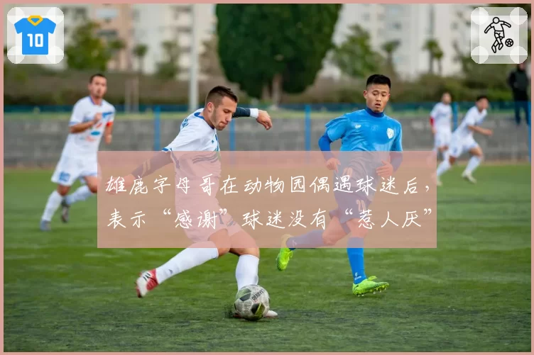 雄鹿字母哥在动物园偶遇球迷后，表示“感谢”球迷没有“惹人厌”