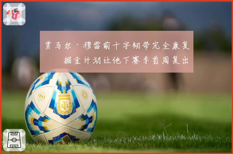 贾马尔·穆雷前十字韧带完全康复,掘金计划让他下赛季首周复出