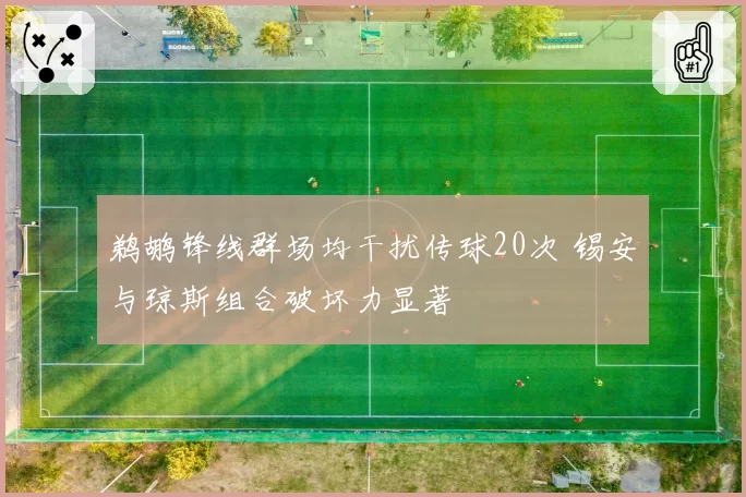 鹈鹕锋线群场均干扰传球20次 锡安与琼斯组合破坏力显著