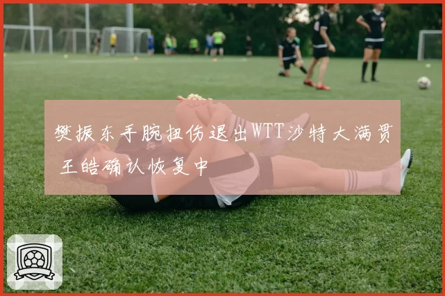 樊振东手腕扭伤退出WTT沙特大满贯 王皓确认恢复中